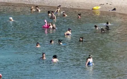 купание, водоем