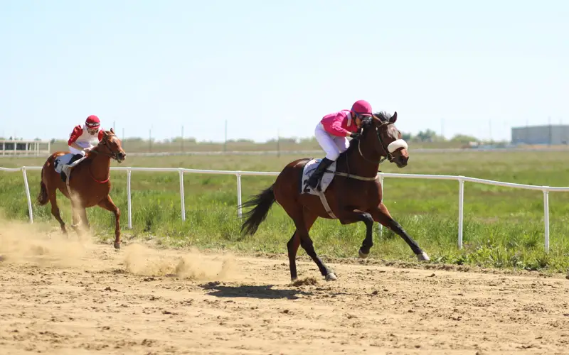 19 млн тенге разыграли на скачках среди лошадей костанайской породы