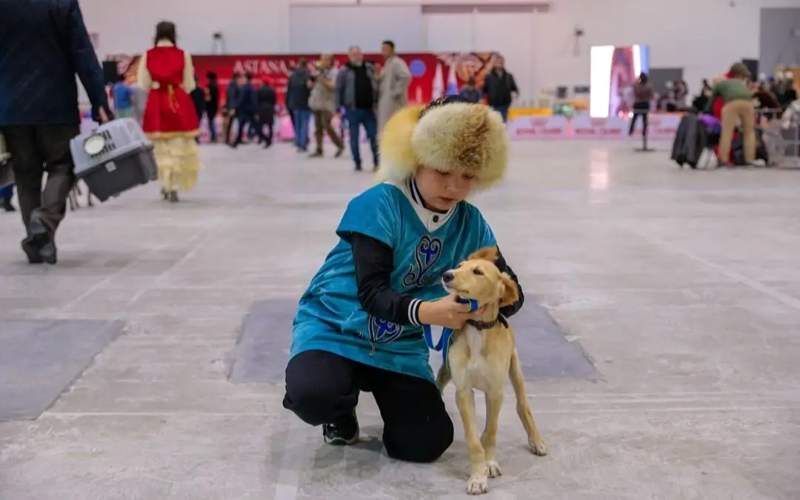 Astana hosts International Dog Show Adilzhan Zhenis