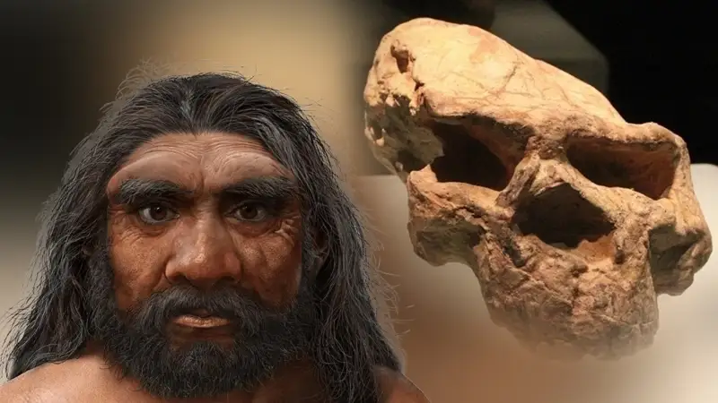 Қытайда миллион жыл бұрын өмір сүрген «Айдаһар адамның» бас сүйектері табылды