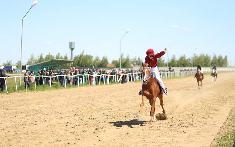 19 млн тенге разыграли на скачках среди лошадей костанайской породы 19 млн тенге разыграли на скачках среди лошадей костанайской породы