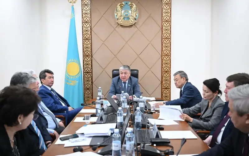 Казахстанцы смогут продавать электричество, получаемое от ВИЭ: в Сенате рассматривают закон