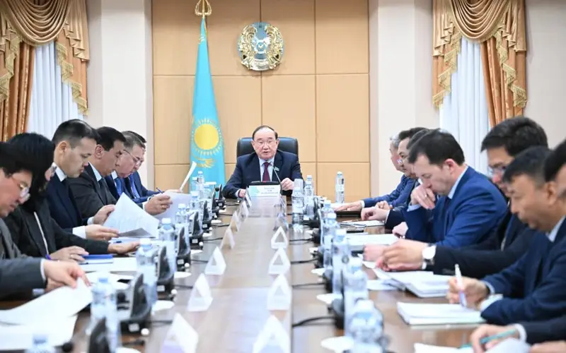 Пути решения проблем аграриев предложили Правительству сенаторы