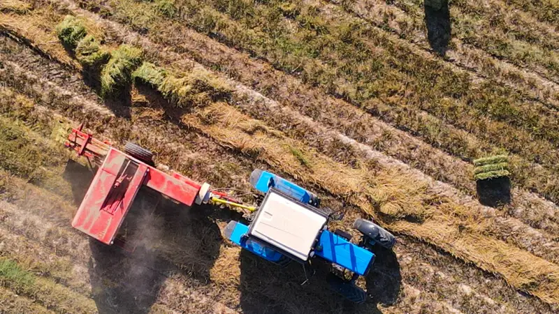 посевная, сельское хозяйство, ауыл шаруашылығы, трактор