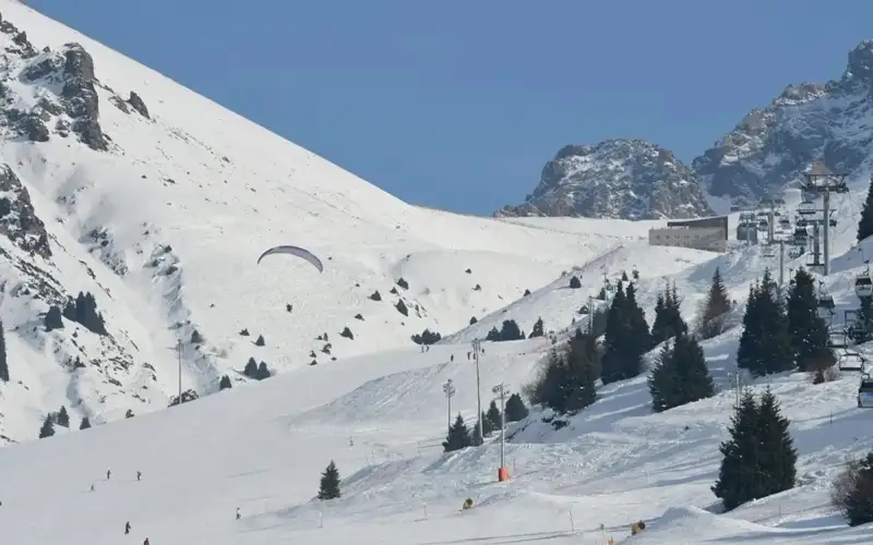 Алмати шаҳрида фристайл могул ва фристайл акробатика бўйича Жаҳон кубоги босқичлари бўлиб ўтади
