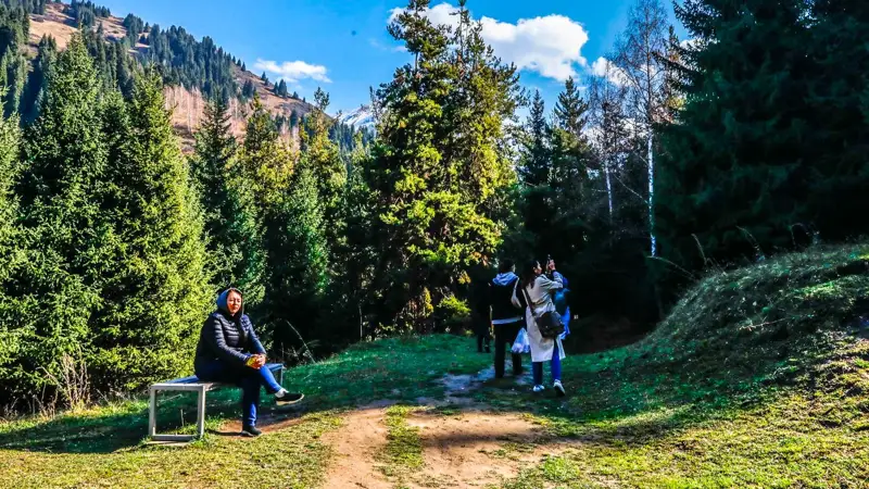 лес орман Бутаковское ущелье Бутаков шатқалы