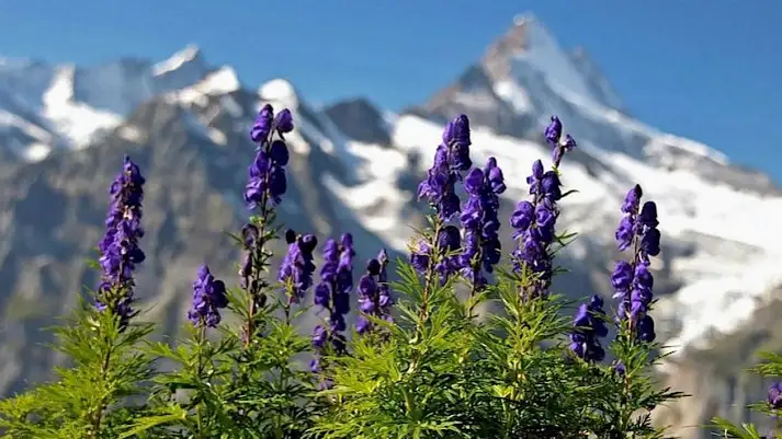 Kyrgyzstan