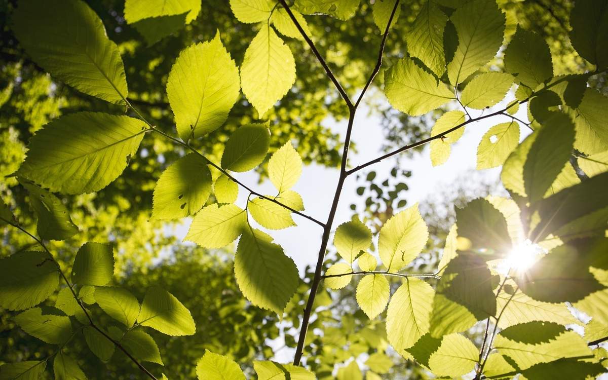 Kazakhstan weather forecast for May 17
