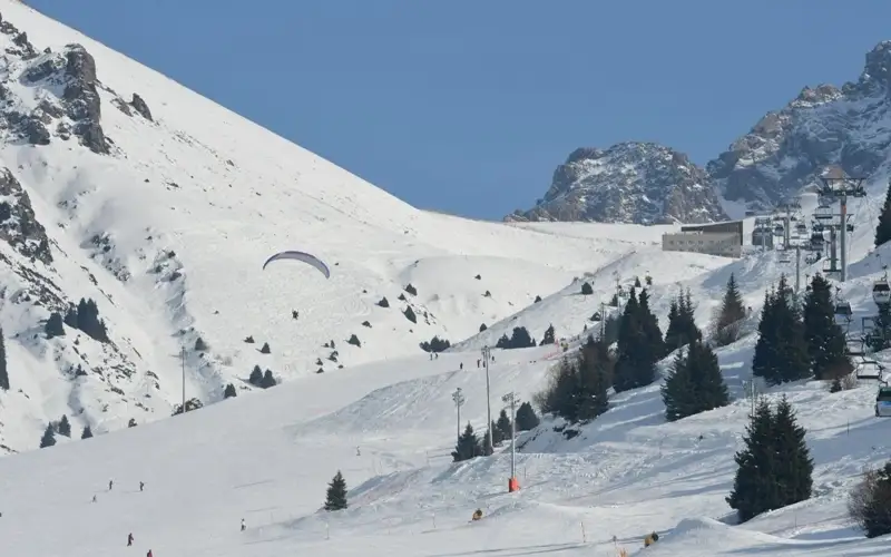 Алматы примет этапы Кубка мира по фристайлу-могул и фристайл-акробатике
