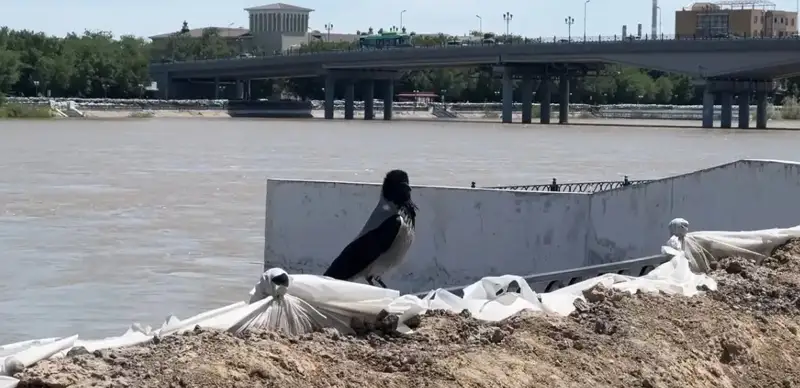 Zhaiyk River’s water descends