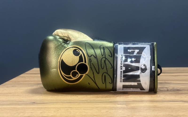 Перчатку Головкина и мяч Рыбакиной выставят на аукцион в Алматы Перчатку Головкина и мяч Рыбакиной выставят на аукцион в Алматы