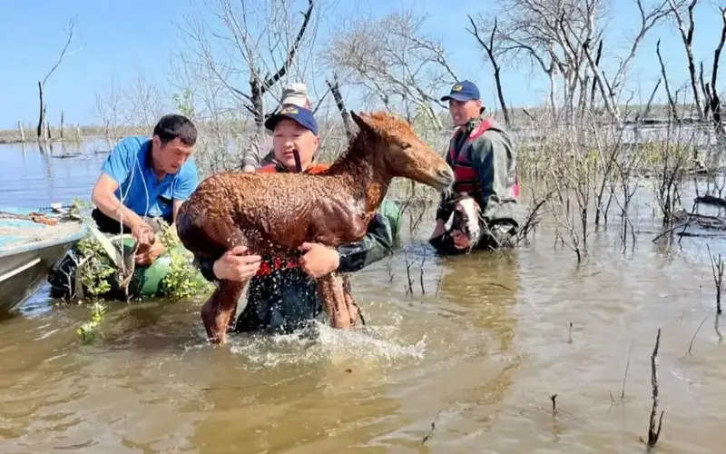 паводки в РК