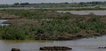 паводки в Атырауской области