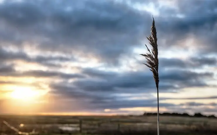 Погода, ветрено, прогноз погоды
