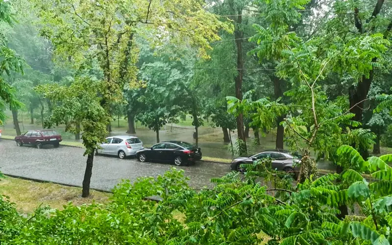 дождь, лето