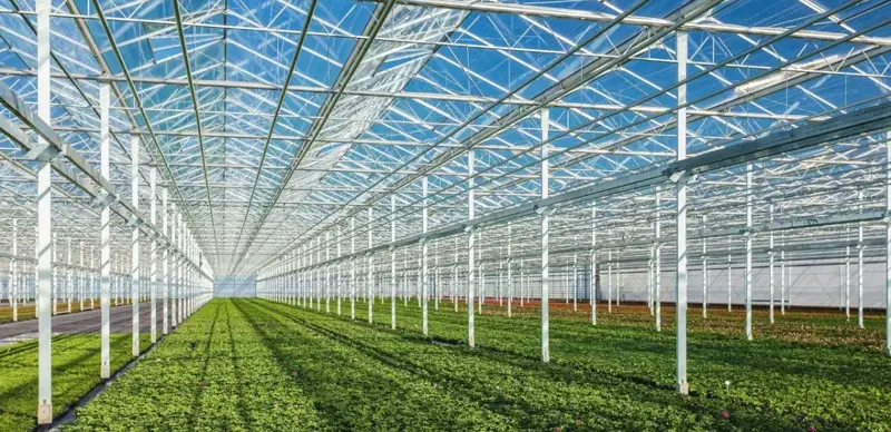 Түркістан облысы