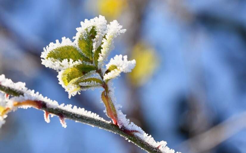 Синоптиктер: кей өңірлерде ауа температурасы -18°С дейін төмендейді