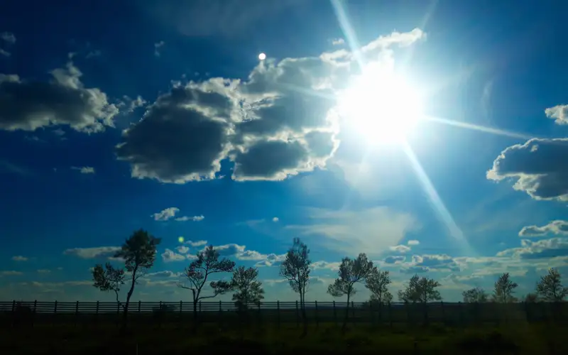 погода, жара