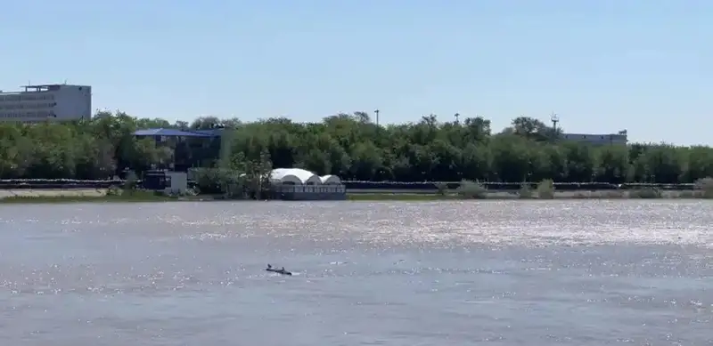 Zhaiyk River’s water level slightly decreases in Atyrau