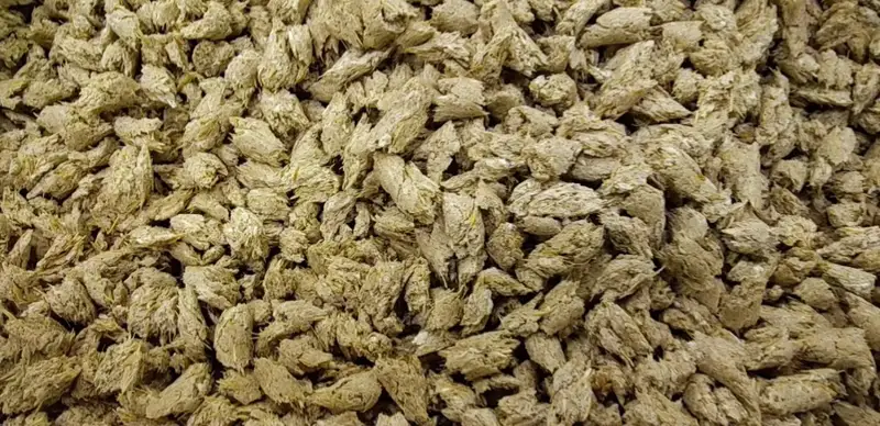 一季度哈萨克斯坦饲料出口量大幅增长