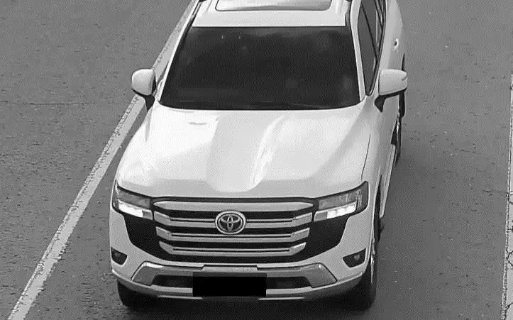 Зерек камера