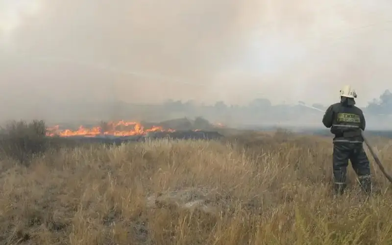 лесные, степные пожары