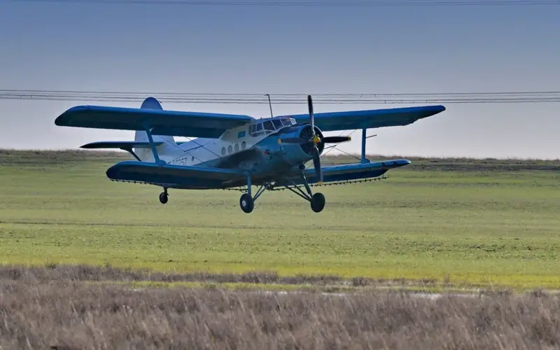 Павлодарцы страдают от нашествия гнуса