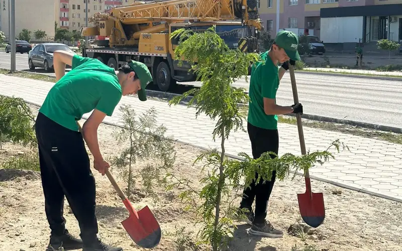 посадка деревьев
