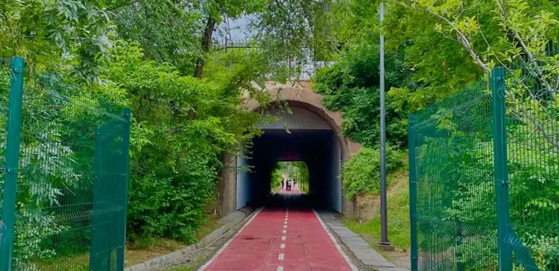 Дендропарк Шымкент природа табиғат