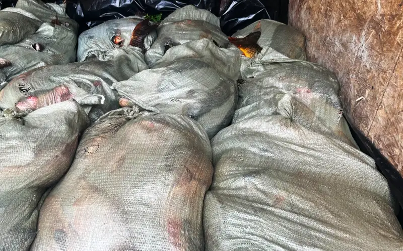 пресс-служба ДП Акмолинской области