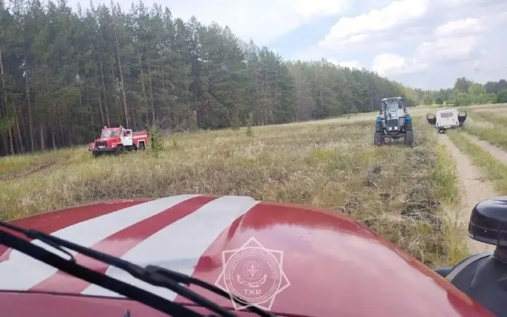 пожар, лес, Семей орманы