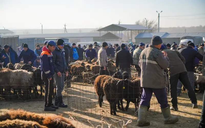 Чорвадорлар Чорвадорлар