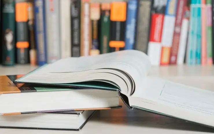 Термины, образование