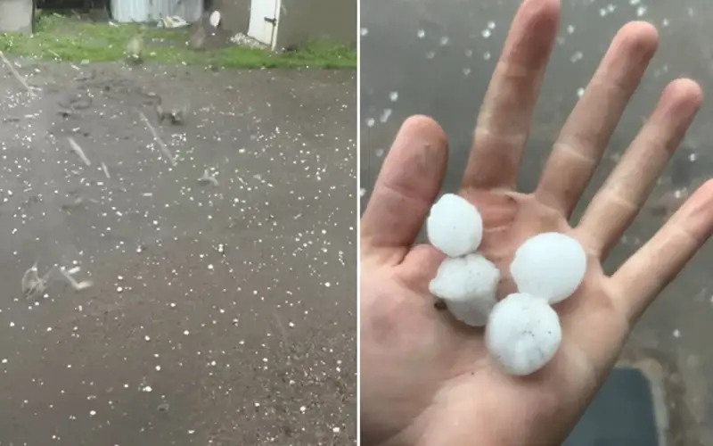 Месячная норма осадков за ночь выпала в районе СКО