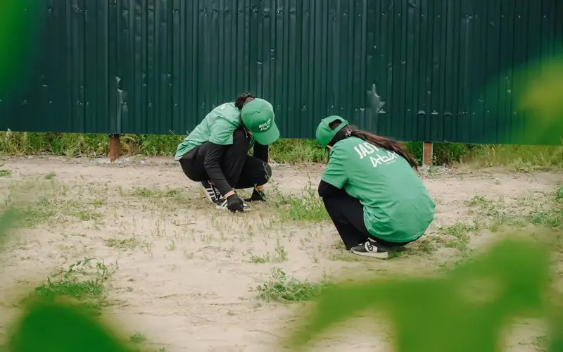 Жасыл ел жасағы