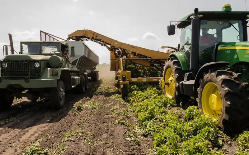 egin dalasy