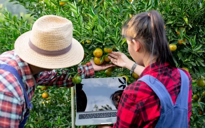 умные фермы