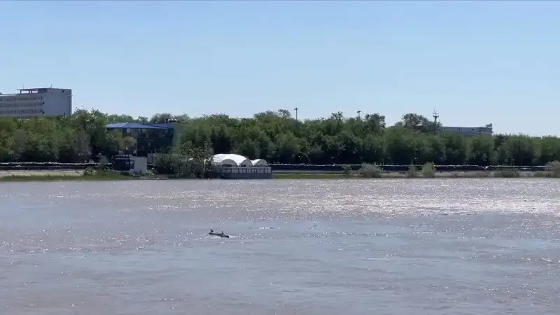 Zhaiyk River’s water level slightly decreases in Atyrau