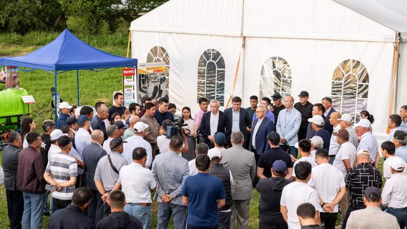 В три раза увеличить посевы сахарной свеклы планируют в области Жетысу В три раза увеличить посевы сахарной свеклы планируют в области Жетысу