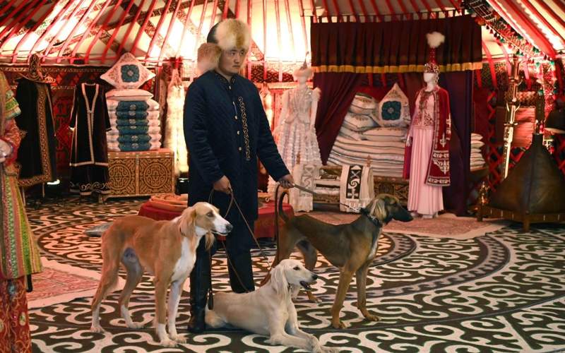 акорда акорда