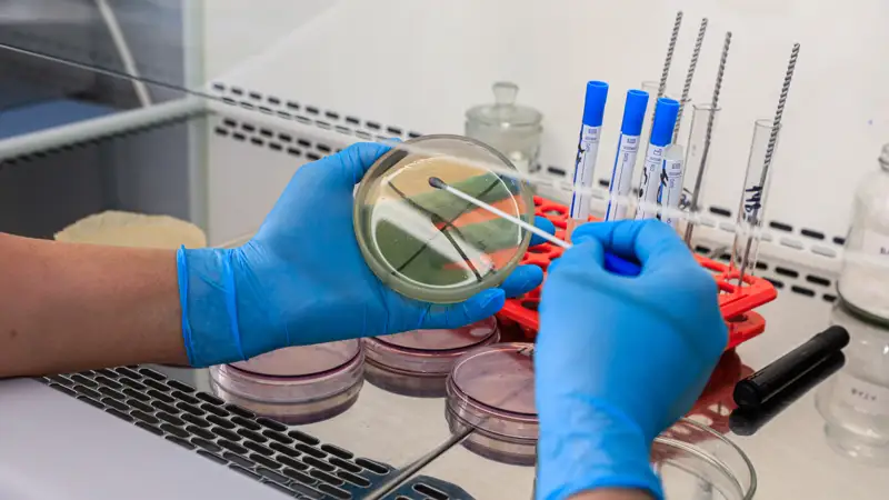 Лаборатория