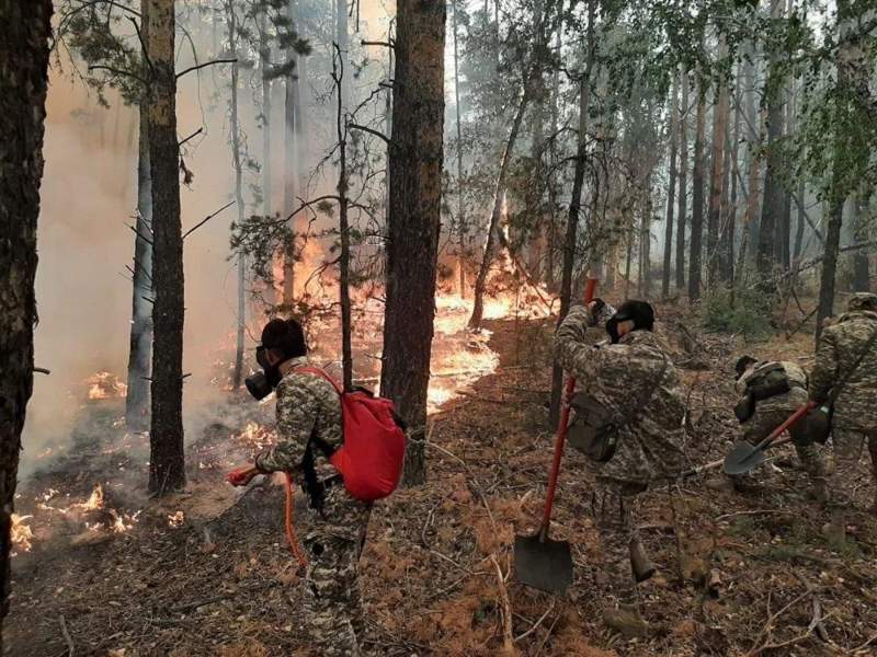 территориальные войска во время пожара в Костанайской области территориальные войска во время пожара в Костанайской области