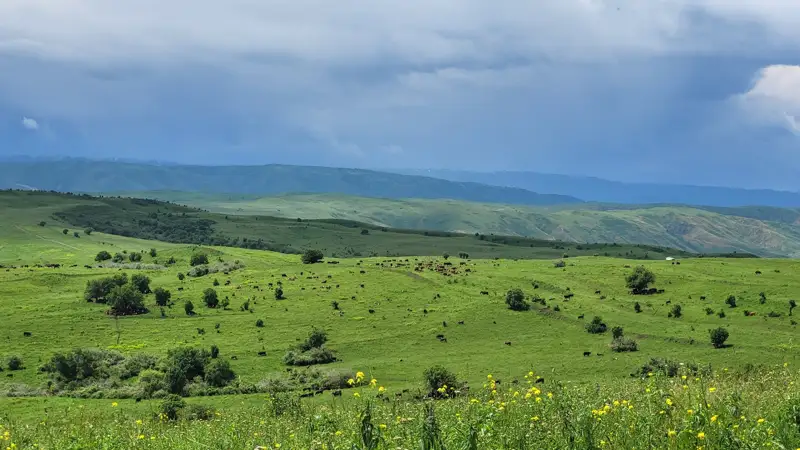 Правительство РК