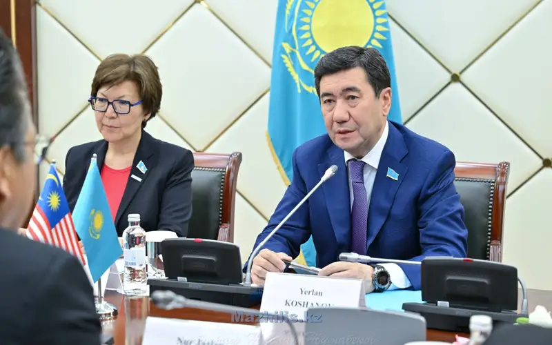 Májiliske Malaızııa Senaty basshysynyń mindetin atqarýshy keldi