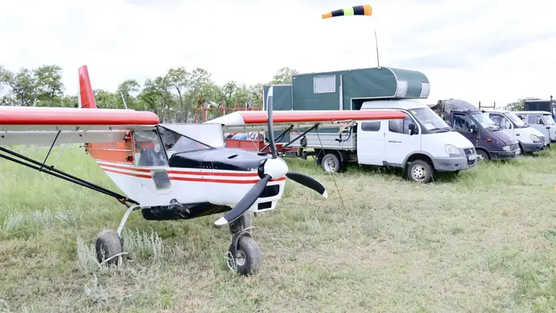Меры для недопущения нашествия саранчи предпринимают в Карагандинской области