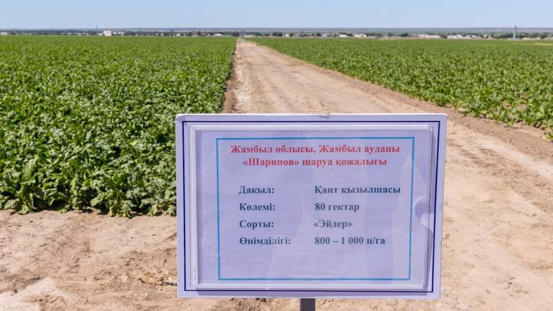 пресс-служба Правительства РК