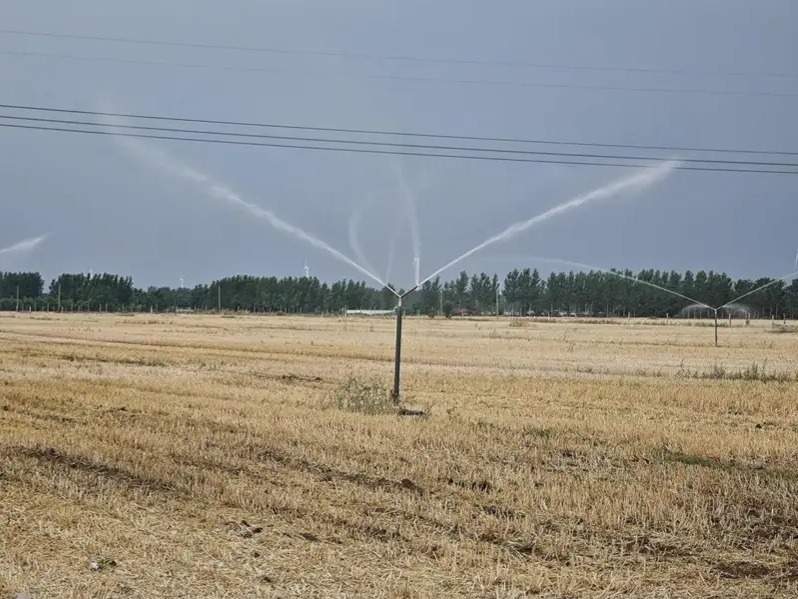 China issues yellow alert for abnormal heatwave China issues yellow alert for abnormal heatwave