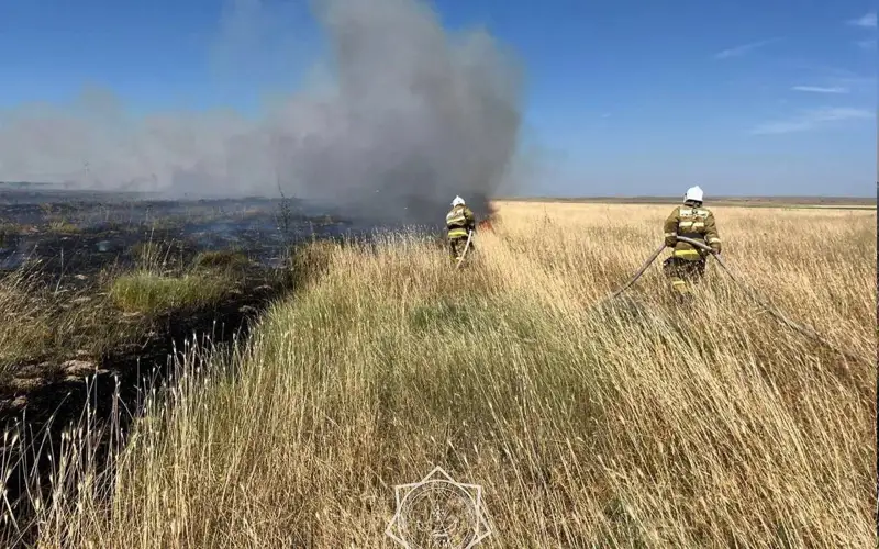 В Туркестанской области потушили возгорание сухой травы