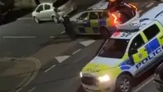 Видео тарана коровы полицейскими набирает миллионы просмотров