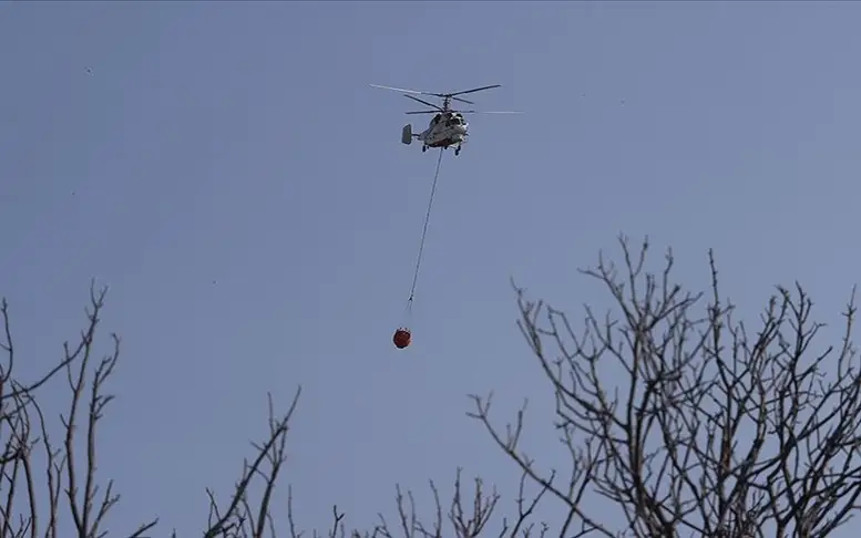 Лесные пожары тушат на западе Турции